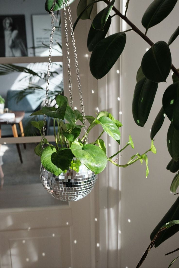 Disco Ball Planter (7 Colours) - Vellum Venture