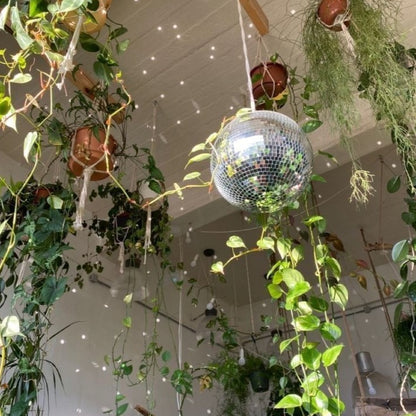 Disco Ball Planter (7 Colours) - Vellum Venture